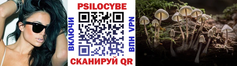 где можно купить   Липецк  Галлюциногенные грибы Psilocybine cubensis 